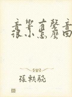 音响有声音但是很小怎么回事
