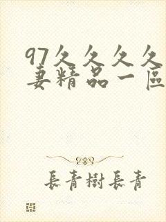 97久久久久人妻精品一区封面