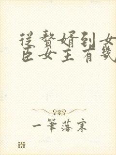 从赘婿到女帝宠臣女主有几个