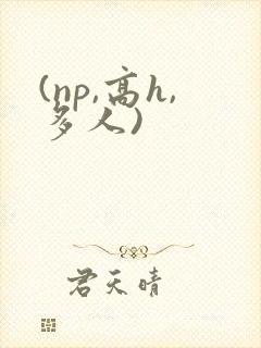 (np,高h,多人)