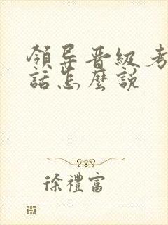 领导晋级考察谈话怎么说