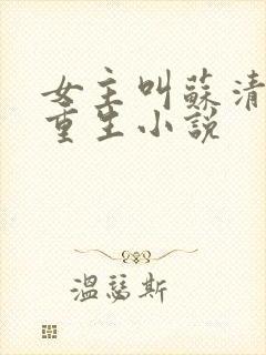 女主叫苏清婉的重生小说