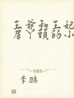 王爷和王妃和通房丫头的小说
