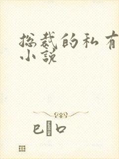 总裁的私有宝贝小说