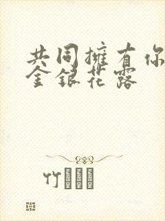 共同拥有你by金银花露封面