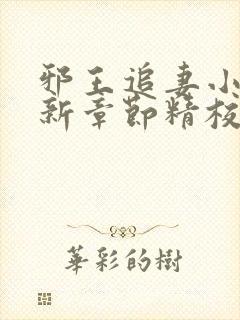邪王追妻小说最新章节精校版
