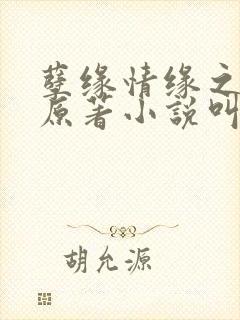 孽缘情缘之母情原著小说叫什么名字