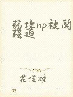 弱攻np被哄骗强迫封面