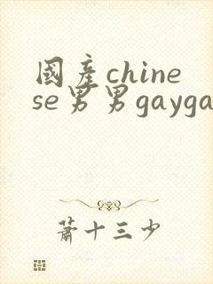 国产chinese男男gaygay180只