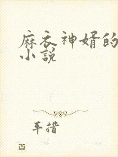 麻衣神婿的全部小说封面
