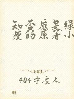 知否应是绿肥红瘦的原著小说