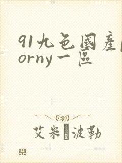 91九色国产porny一区