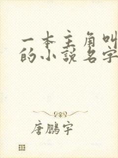 一本主角叫叶凡的小说名字是什么封面