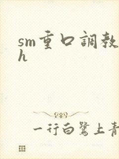 sm重口调教高h