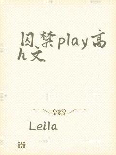 囚禁play高h文