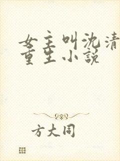女主叫沈清辞的重生小说