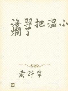 洛羿把温小辉做烂了
