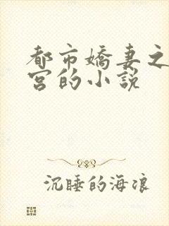 都市娇妻之美后宫的小说