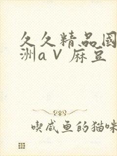 久久精品国产亚洲a∨麻豆封面