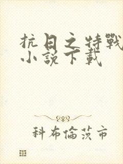 抗日之特战兵王小说下载