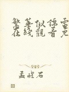 繁华似锦电视剧在线观看免费高清全集封面