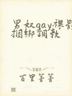 男奴gay裸体捆绑调教封面