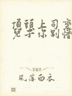 顶头上司变后妈儿子你别懵完结