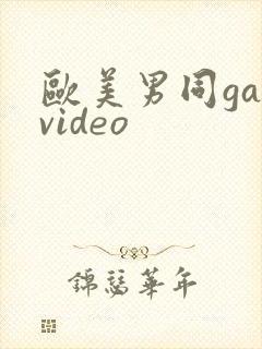 欧美男同gayvideo