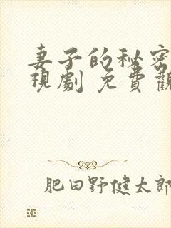 妻子的秘密 电视剧 免费观看