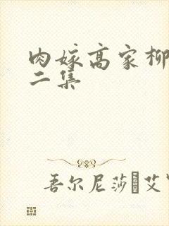 肉嫁高家柳家第二集