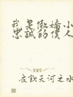 我是傲娇小魅魔忠诚的仆人动漫封面