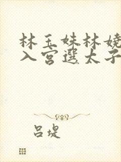 林玉姝林娆一同入宫选太子妃小说