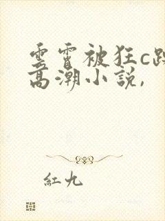 云霄被狂c躁到高潮小说,封面