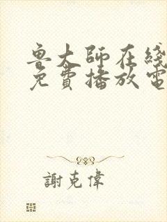 鲁大师在线观看免费播放电视剧官网