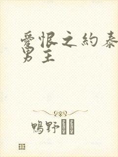 爱恨之约泰剧双男主