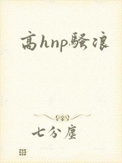 高hnp骚浪封面