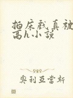拍床戏真被肉h高h小说