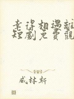 幸得相遇离婚时短剧免费观看全集