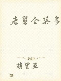 老舅全集多少