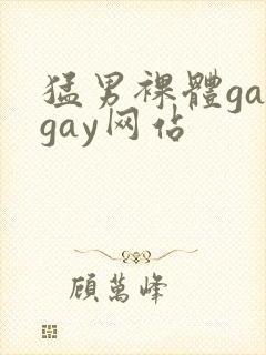 猛男裸体gaygay网站