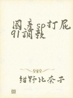 国产sp打屁股91调教