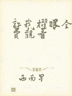 许我耀眼全集免费观看封面