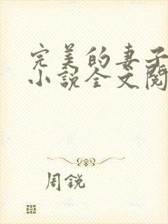 完美的妻子赵岚小说全文阅读封面