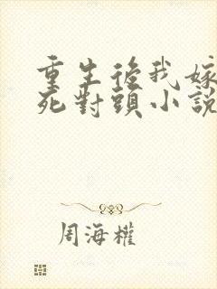 重生后我嫁给了死对头小说txt
