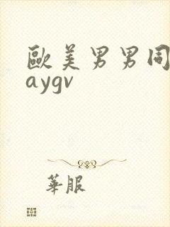 欧美男男同性gaygv封面