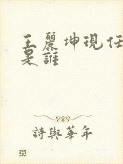 王丽坤现任丈夫是谁