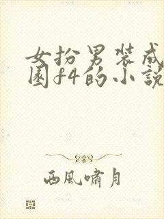 女扮男装成为校园f4的小说