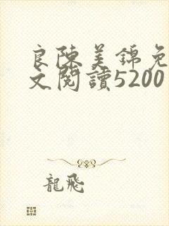 良陈美锦免费全文阅读5200
