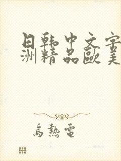 日韩中文字幕亚洲精品欧美