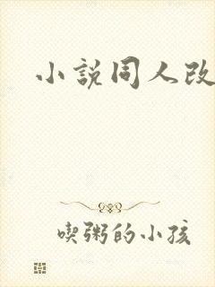 小说同人改编版